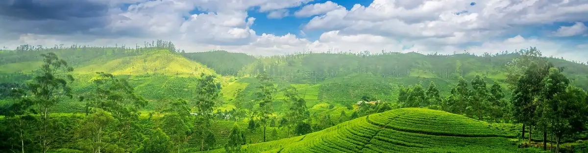 Visit Sri Lanka